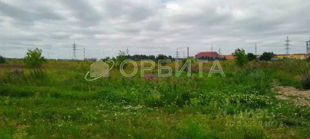 Участок в Тюменская область, Тюменский муниципальный округ, д. Тураева ... - Фото 2