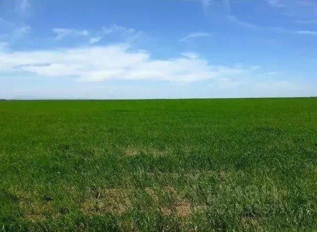 Участок в Крым, Сакский район, с. Ивановка  (100.0 сот.) - Фото 1