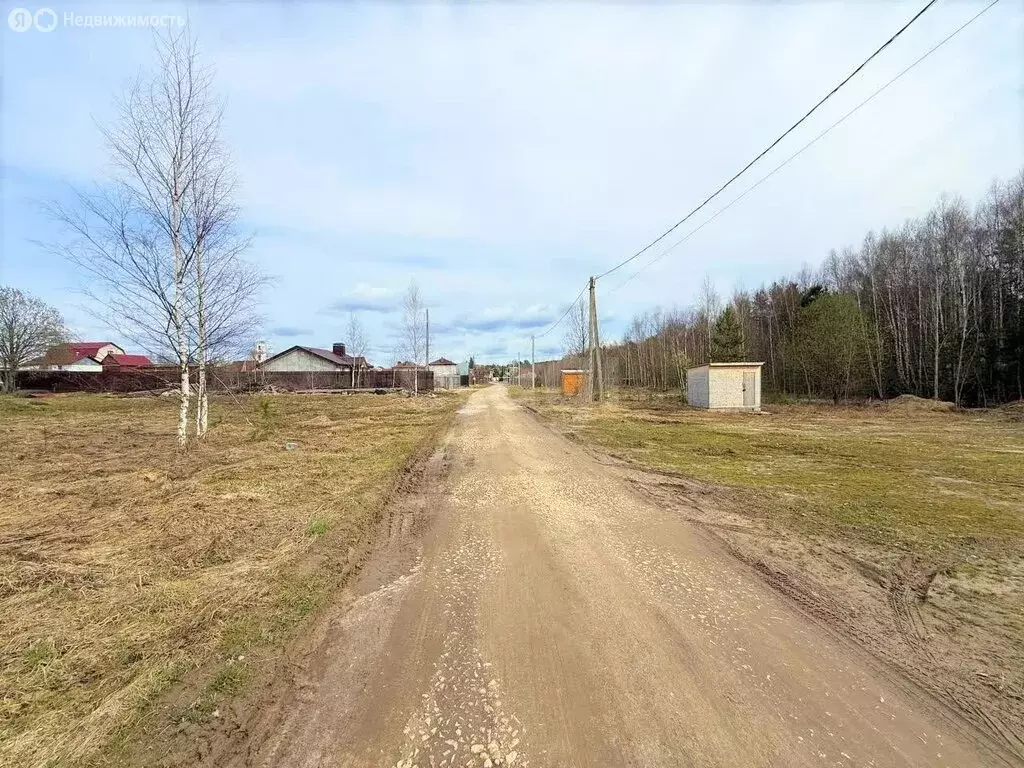 Участок в Владимирская область, городской округ Покров, деревня ... - Фото 1