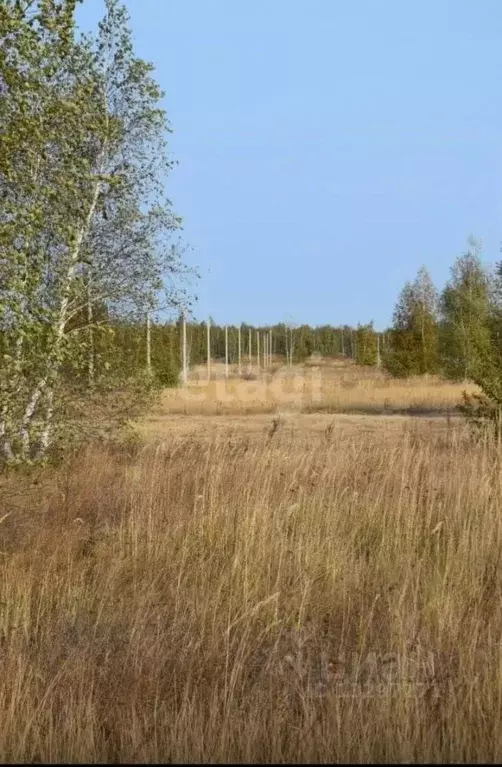 Участок в Свердловская область, Горноуральский городской округ, с. ... - Фото 1