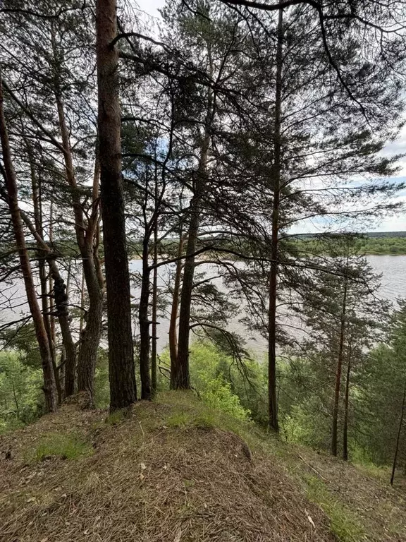 Участок в Кировская область, Орловское с/пос, д. Болдычи  (38.0 сот.) - Фото 1