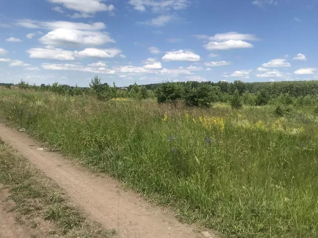 Участок в Свердловская область, Каменский городской округ, с. ... - Фото 1