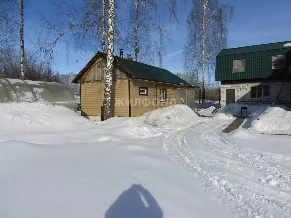 Дом в Новосибирская область, Новосибирский район, Мичуринский ... - Фото 1