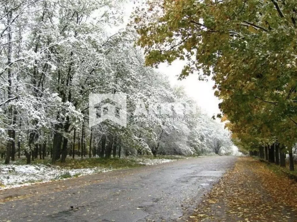 Дом в Ивановская область, Ивановский район, Богородское с/пос, д. ... - Фото 0