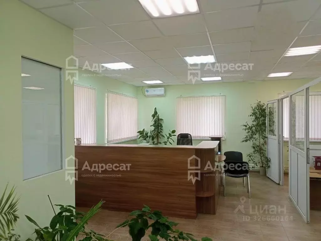 Офис в Волгоградская область, Светлый Яр рп, 1-й мкр 8Б (65 м) - Фото 1