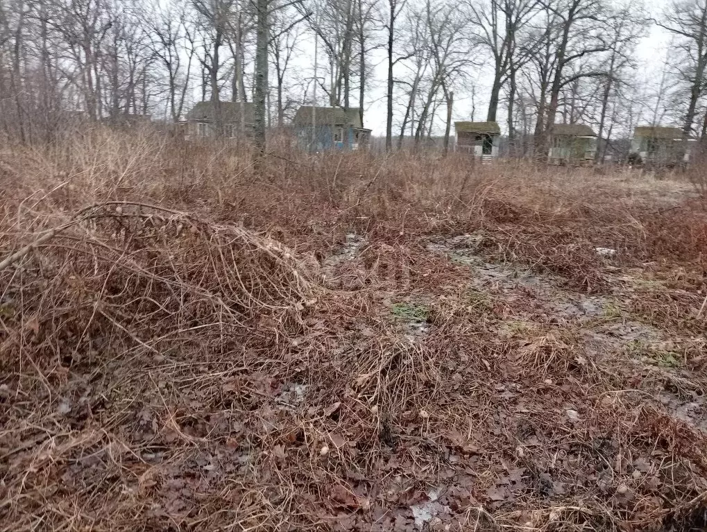 Купить Участок В Воронеже Рамонский Район