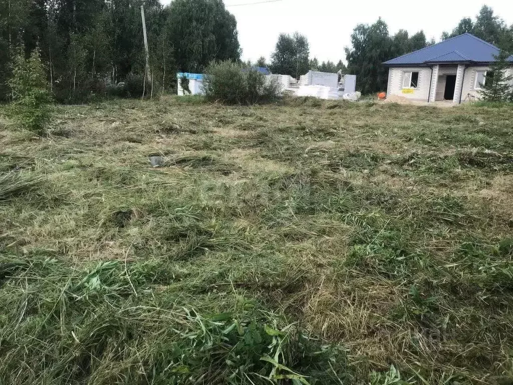 Участок в Тюменская область, Тюмень Россиянка садовое товарищество, ... - Фото 1