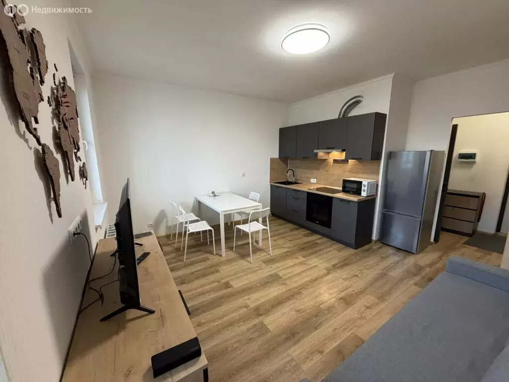 Квартира-студия: Санкт-Петербург, Среднерогатская улица, 16к2 (25.3 м) - Фото 2