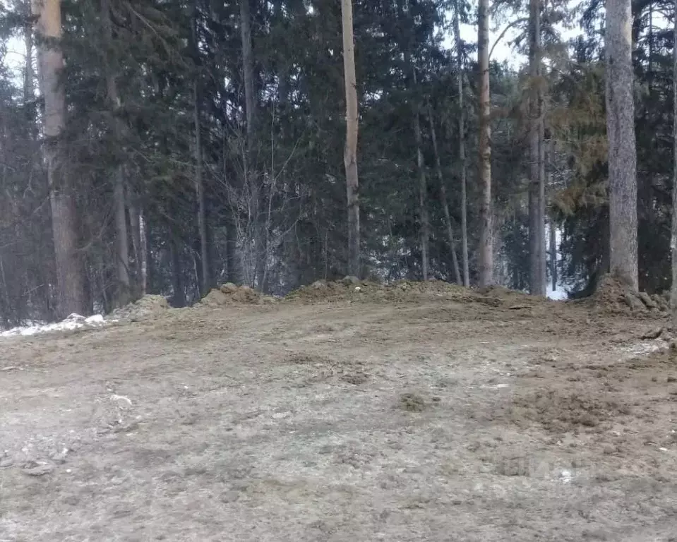 Участок в Томская область, Томск ул. Нарочанская, 32 (8.8 сот.) - Фото 1