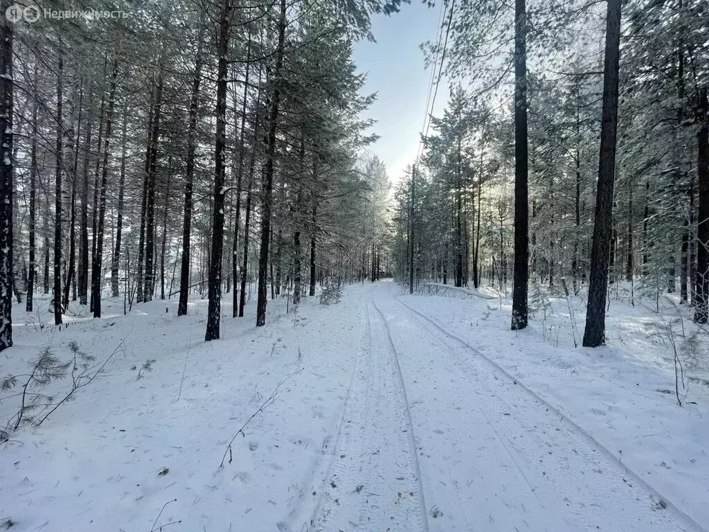 Участок в Иркутский муниципальный округ, Листвянское муниципальное ... - Фото 2