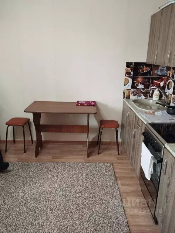 Студия Челябинская область, Челябинский городской округ, пос. ... - Фото 2