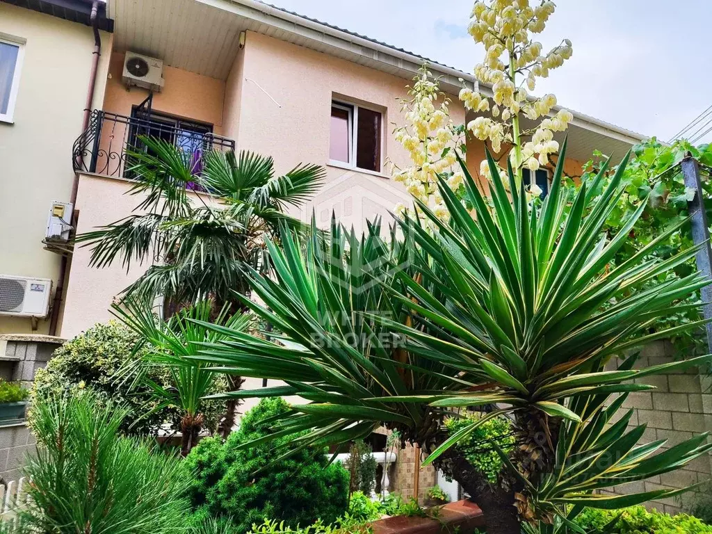 Дом в Крым, Ялта муниципальный округ, Кореиз пгт ул. Южная, 66А (240 ... - Фото 1