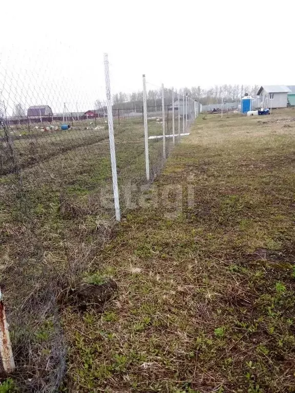 Участок в Тульская область, городской округ Тула, деревня Ширино (16 ... - Фото 2