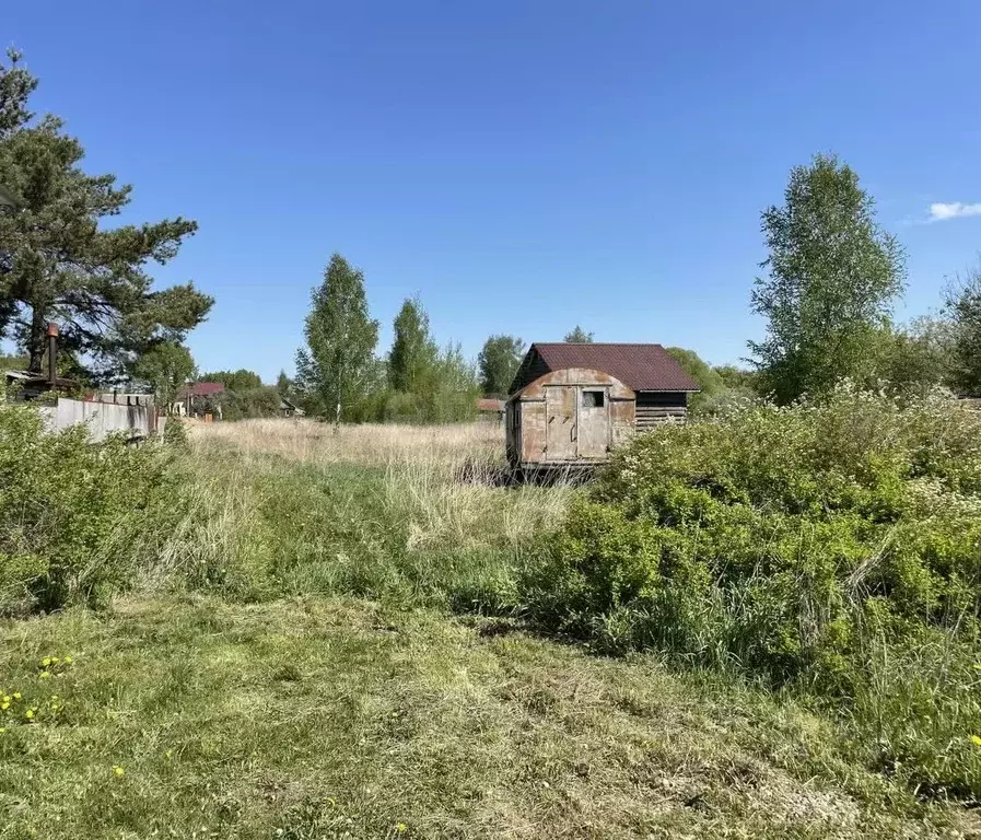 Участок в Смоленская область, Смоленский муниципальный округ, с. Ольша ... - Фото 2