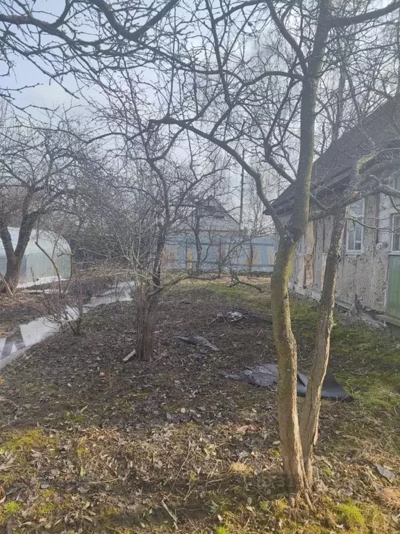Участок в Санкт-Петербург Деревня Рыбацкое тер., 1 (6.0 сот.) - Фото 1