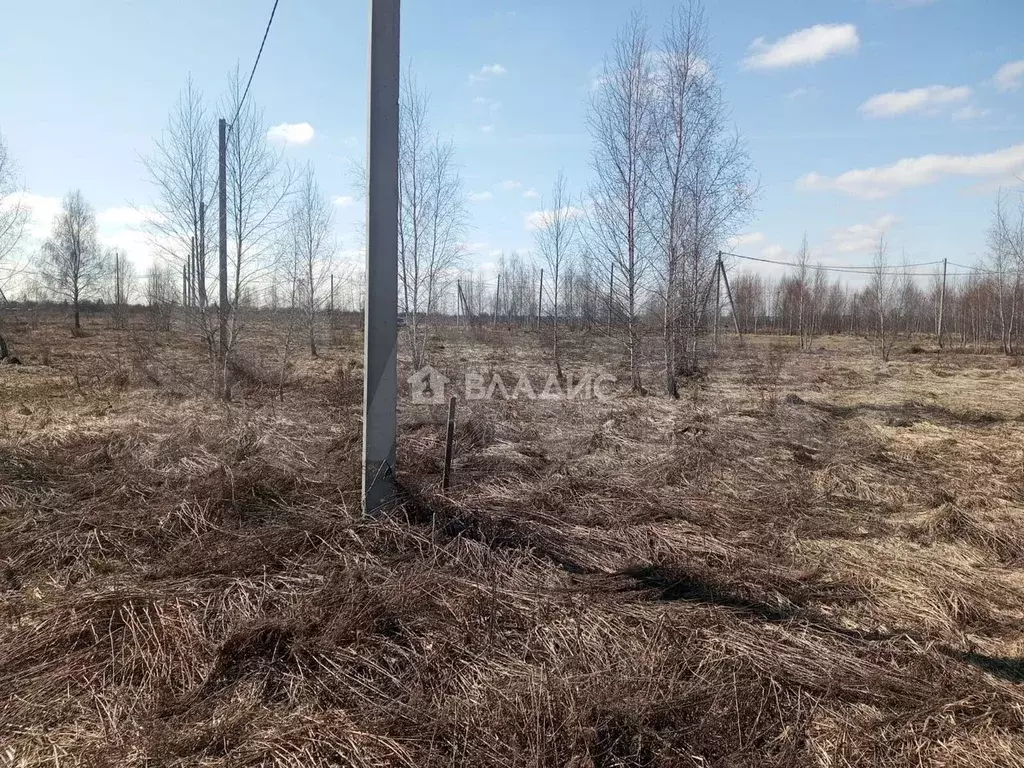 Участок 8 сот. (ИЖС) - Фото 1