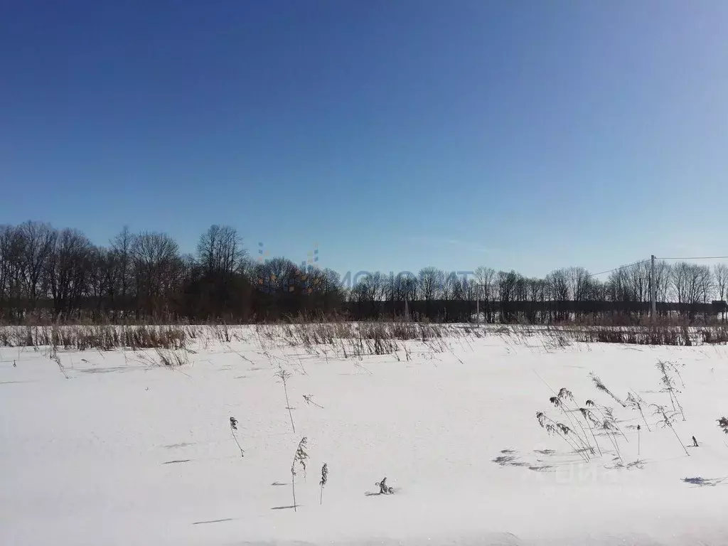 Участок в Нижегородская область, Дивеевский муниципальный округ, с. ... - Фото 1