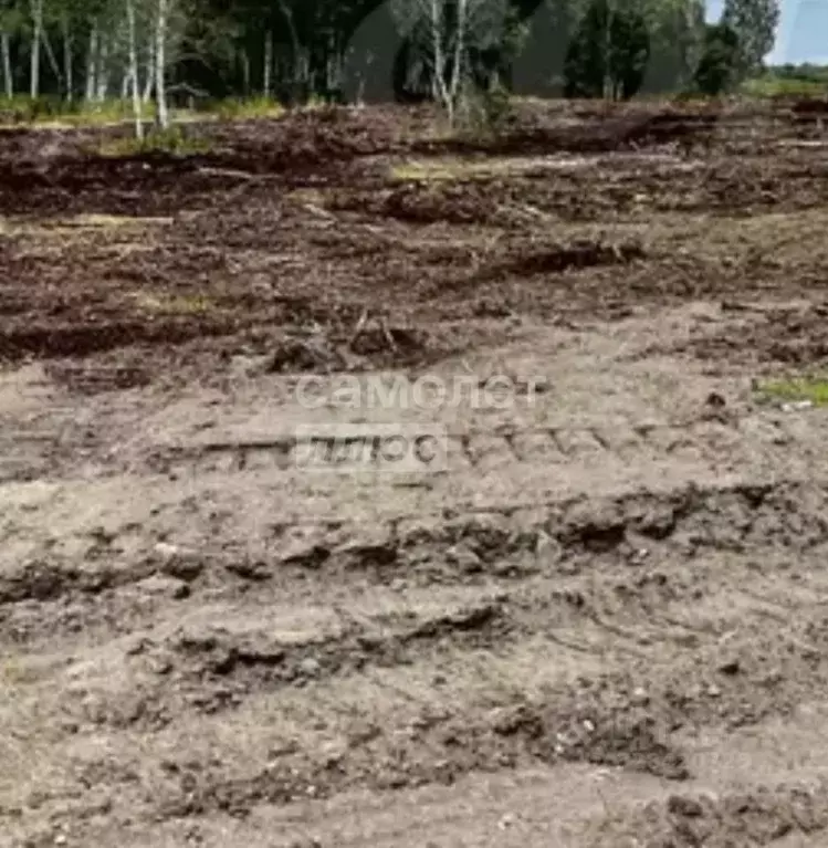 Участок в Иркутская область, Иркутский муниципальный округ, с. ... - Фото 2