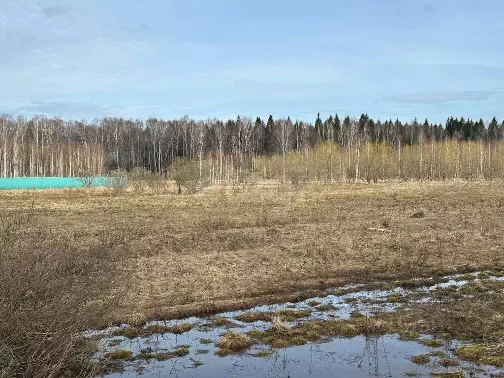 Участок в Владимирская область, Гусь-Хрустальный район, Анопино ... - Фото 0