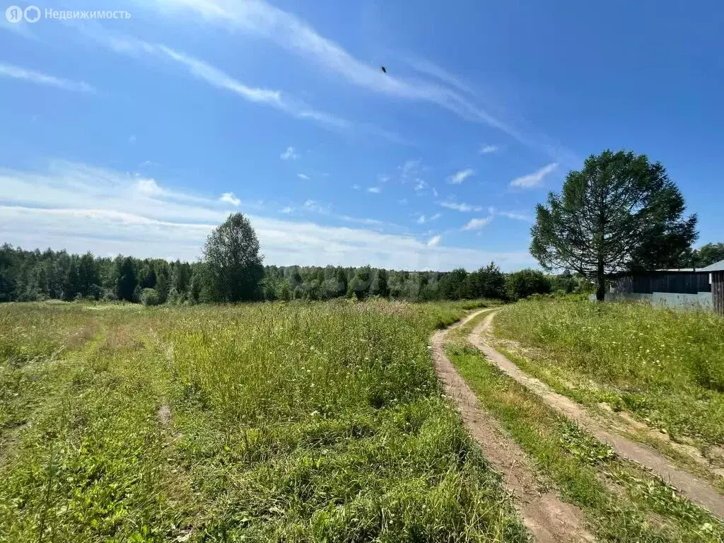 Участок в Сямжа, деревня Тимонинская (14 м) - Фото 1