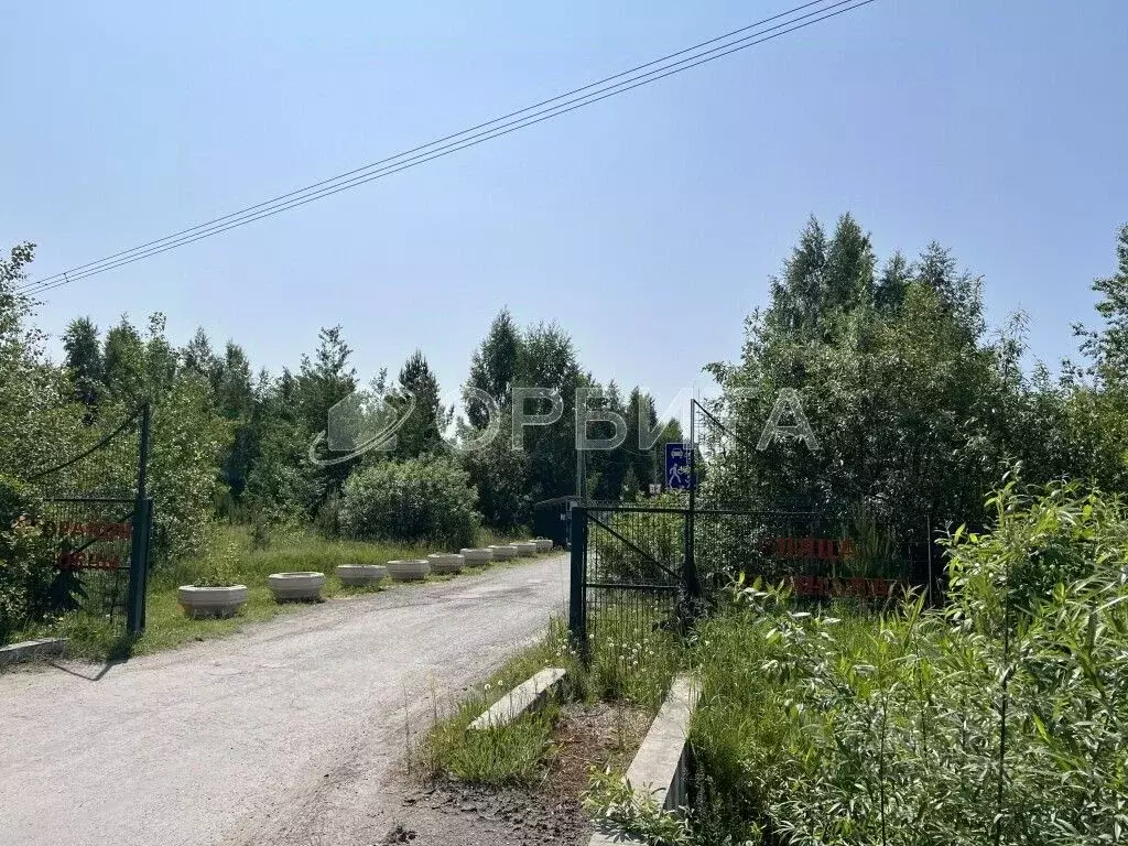 Участок в Тюменская область, Тюмень Три Сосны мкр, ул. Малиновая (14.5 ... - Фото 1