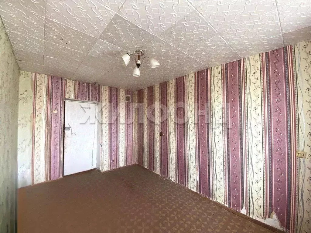 Комната Новосибирская область, Новосибирск ул. Шукшина, 17 (11.5 м) - Фото 2