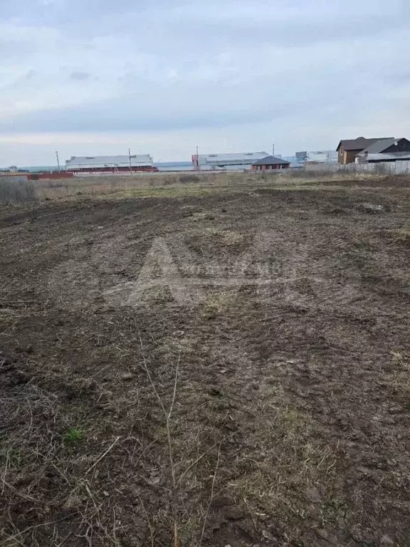 Участок 8 сот. (ИЖС) - Фото 1