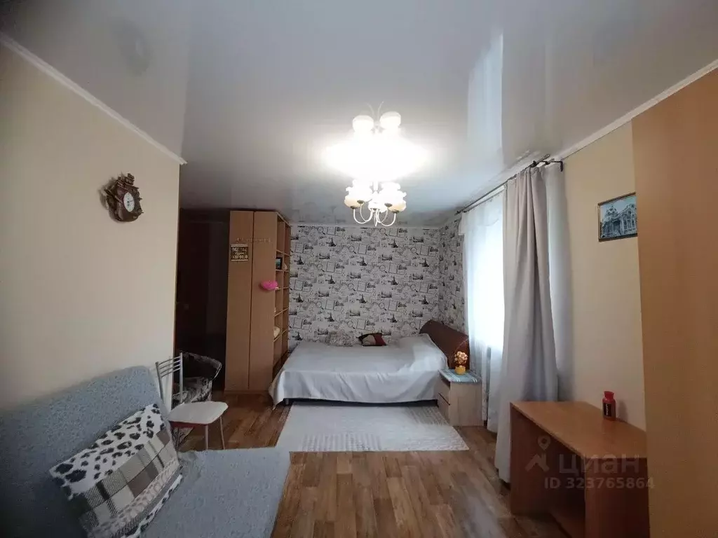 1-к кв. Томская область, Томск просп. Ленина, 138А (30.0 м) - Фото 1