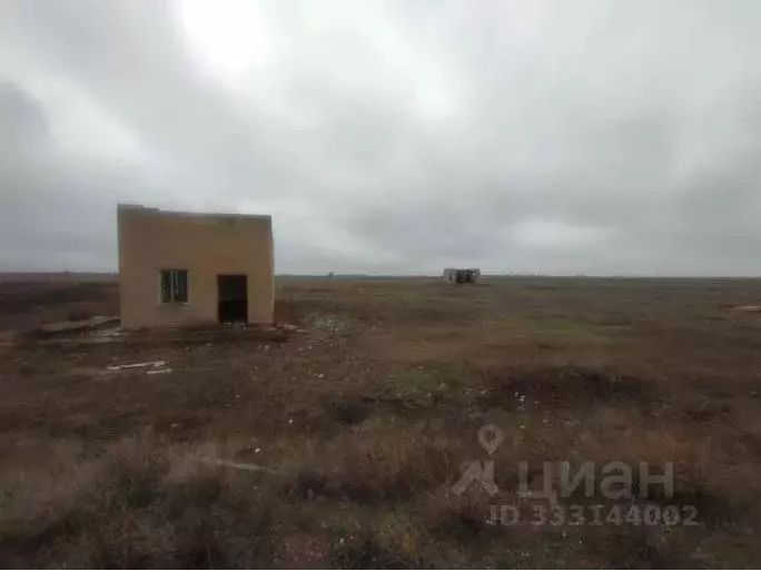 Помещение свободного назначения в Саратовская область, с. Александров ... - Фото 1