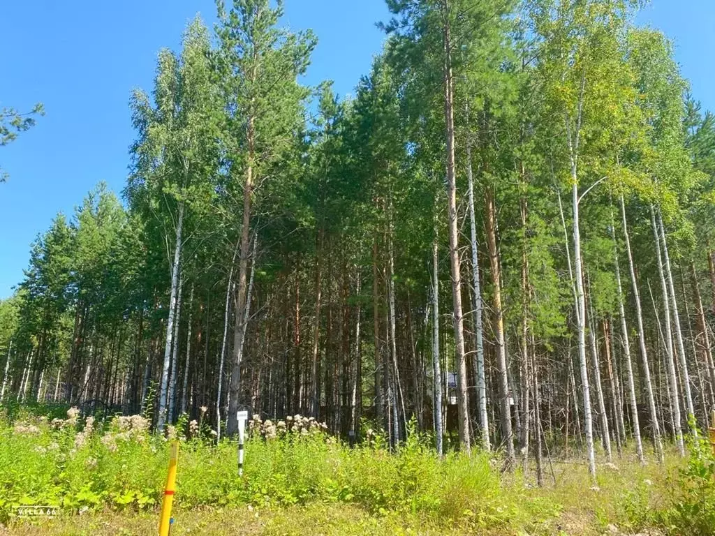 Участок в Свердловская область, Сысертский муниципальный округ, пос. ... - Фото 1