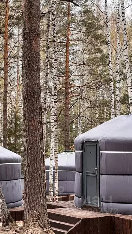 Дом в Свердловская область, Верхняя Пышма  (20 м) - Фото 2