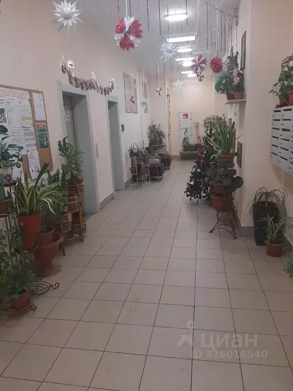 2-к кв. Москва ул. Удальцова, 71к2 (56.0 м) - Фото 2