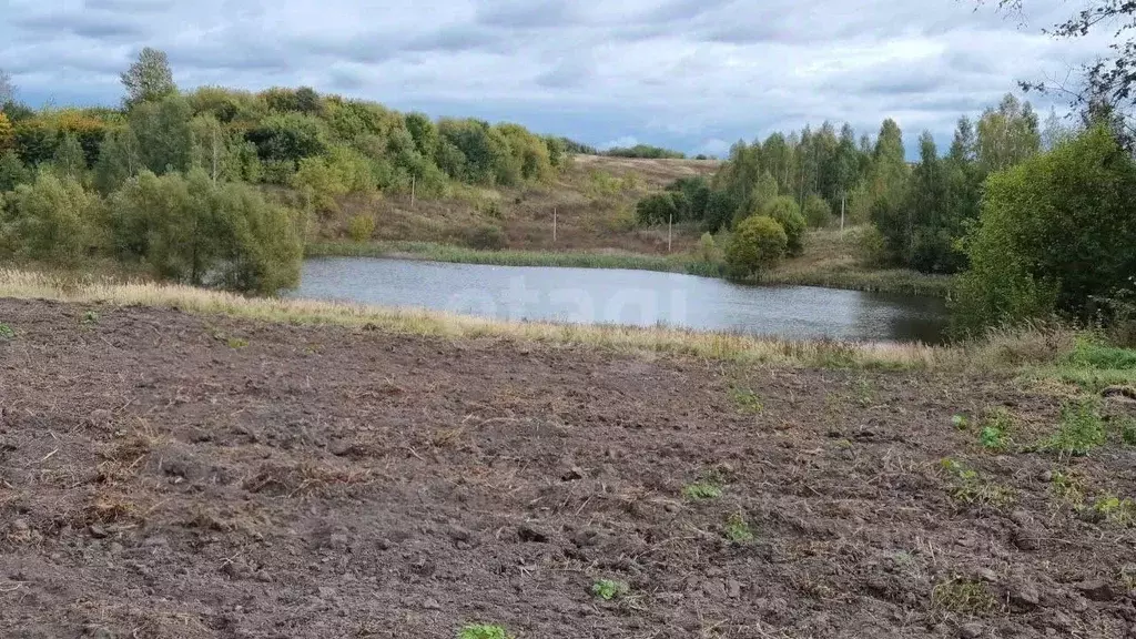 Участок в Брянская область, Жуковский муниципальный округ, д. Песочня ... - Фото 1