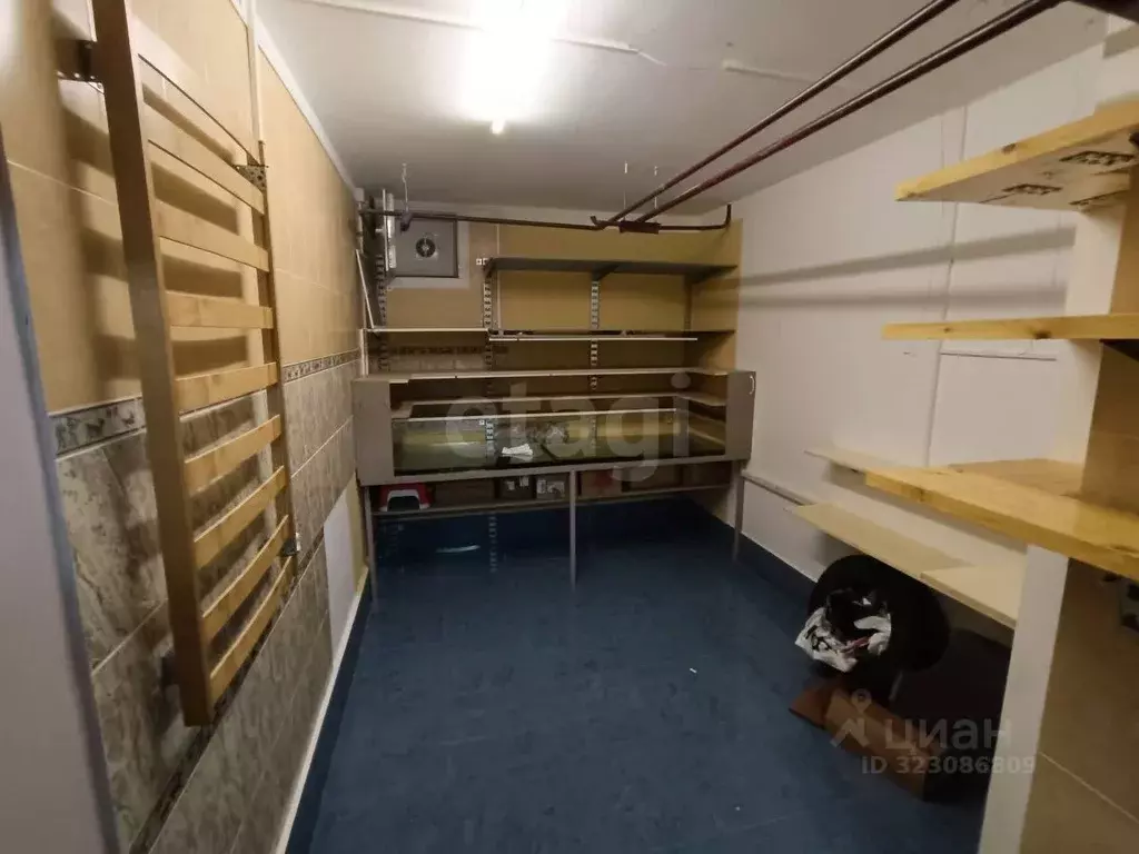 Помещение свободного назначения в Владимирская область, Владимир ул. ... - Фото 0