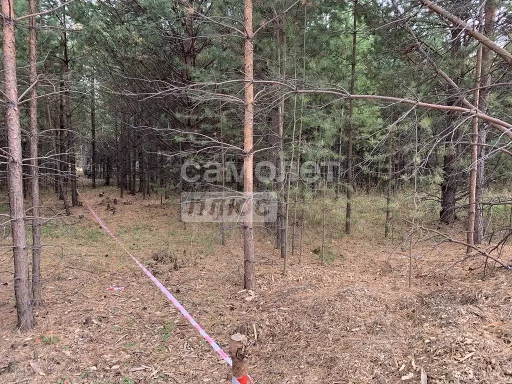 Участок в Свердловская область, Екатеринбург Лесная Поляна кп,  (10.0 ... - Фото 0