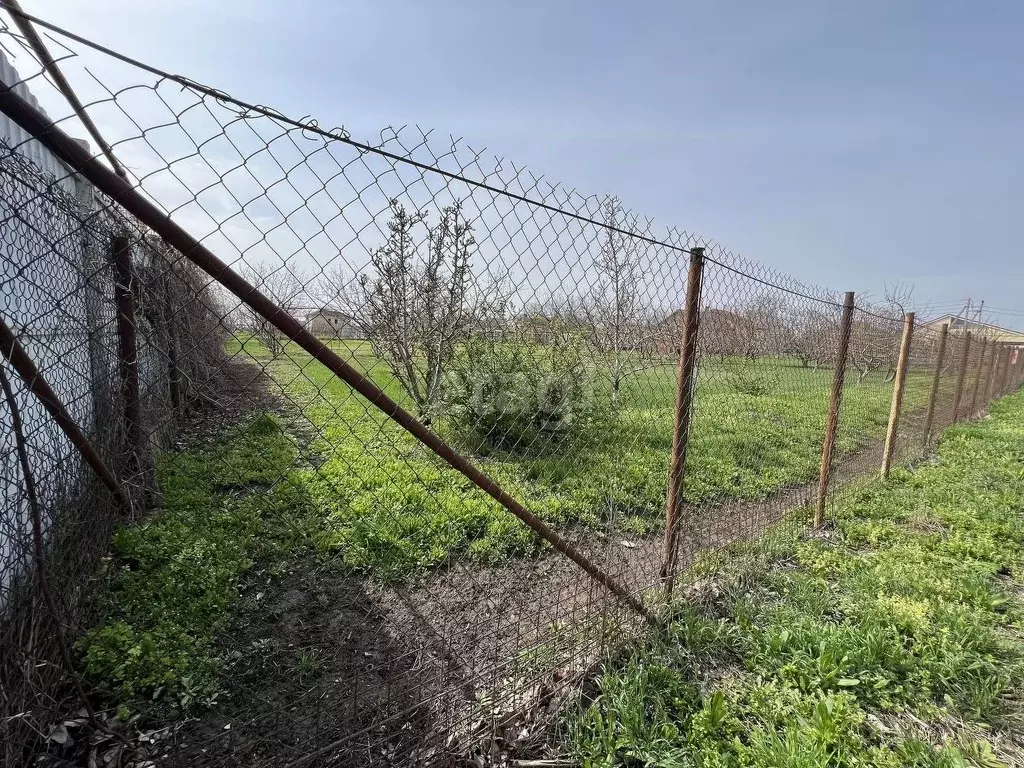 Участок в Ростовская область, Неклиновский район, Новобессергеневское ... - Фото 1