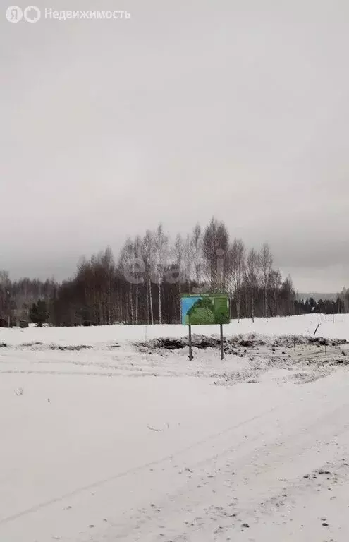 Участок в Добрянский городской округ, деревня Залесная (8.9 м) - Фото 1