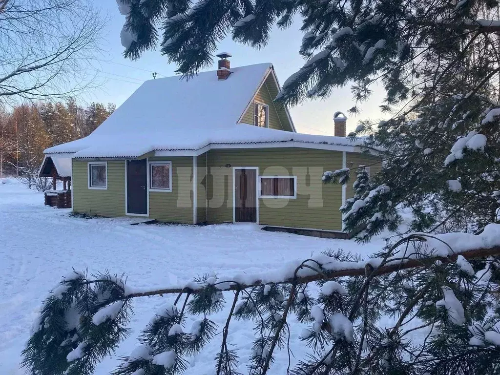 Дом в Вологодская область, с. Устье ул. Радужная, 22 (48 м) - Фото 1