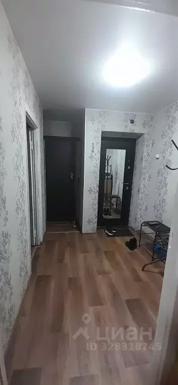 2-к кв. Иркутская область, Нижнеудинск ул. Пушкина, 20 (42.0 м) - Фото 1