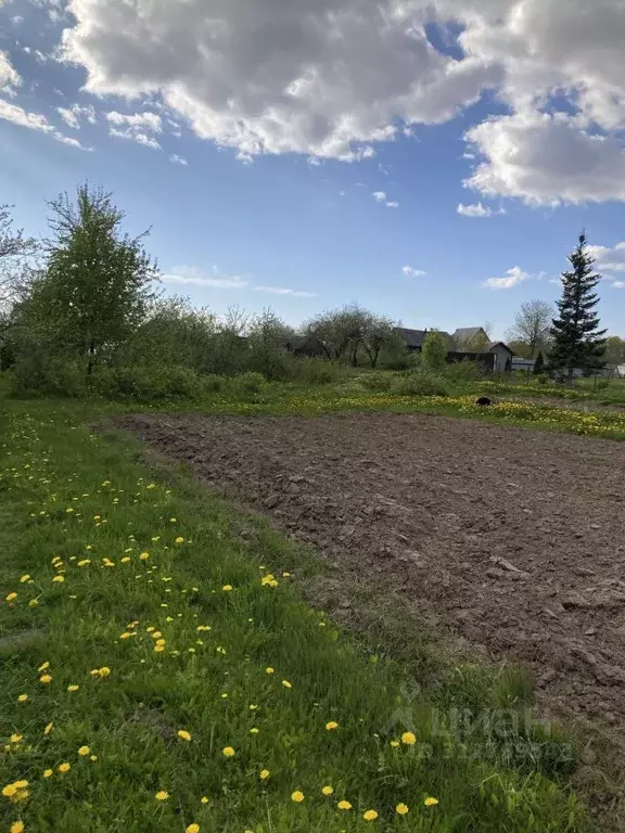 Участок в Псковская область, Псковский район, Писковичская волость, д. ... - Фото 2