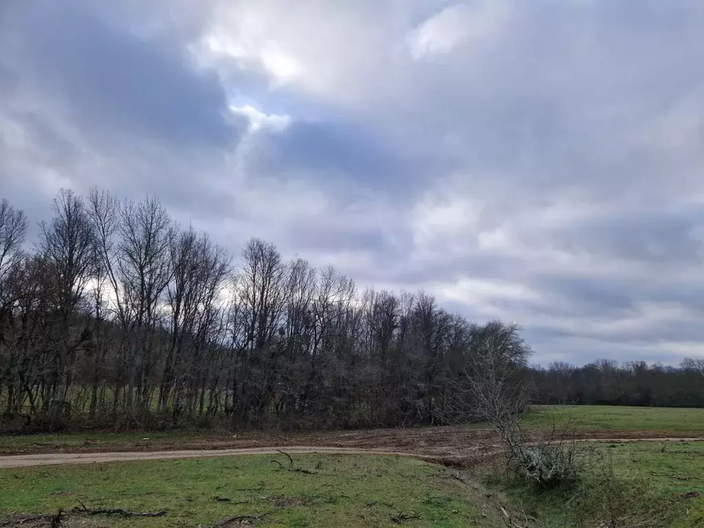 Участок в Севастополь с. Передовое, ул. Водопадная, 41 (740.0 сот.) - Фото 2