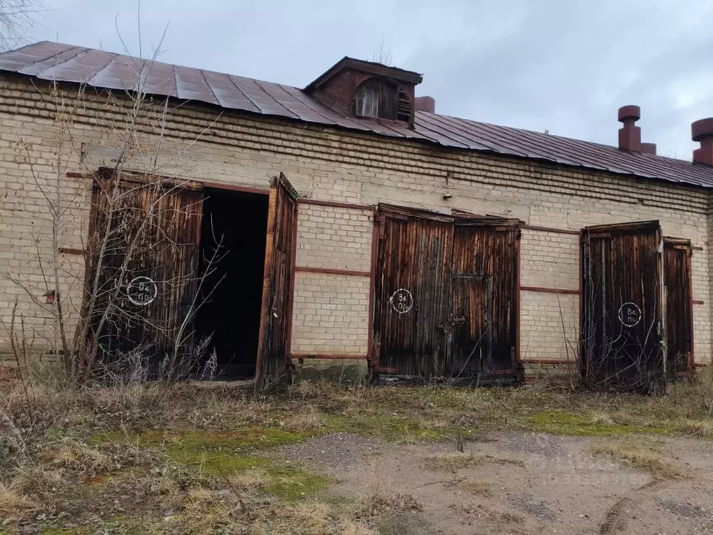 Помещение свободного назначения в Кировская область, Вятскополянский ... - Фото 1