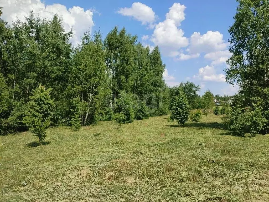 Участок в Калужская область, Боровский муниципальный округ, Лесные ... - Фото 2