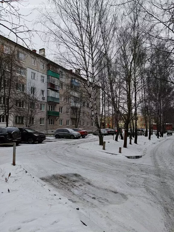 3-комнатная квартира: Богородск, 2-й микрорайон, 16 (56.7 м) - Фото 2