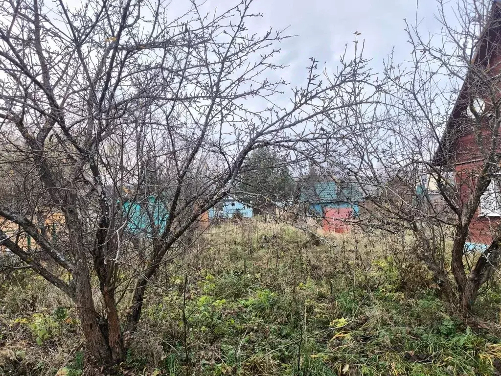 Дом в Московская область, Ступино городской округ, Юг СНТ 50 (60 м) - Фото 2