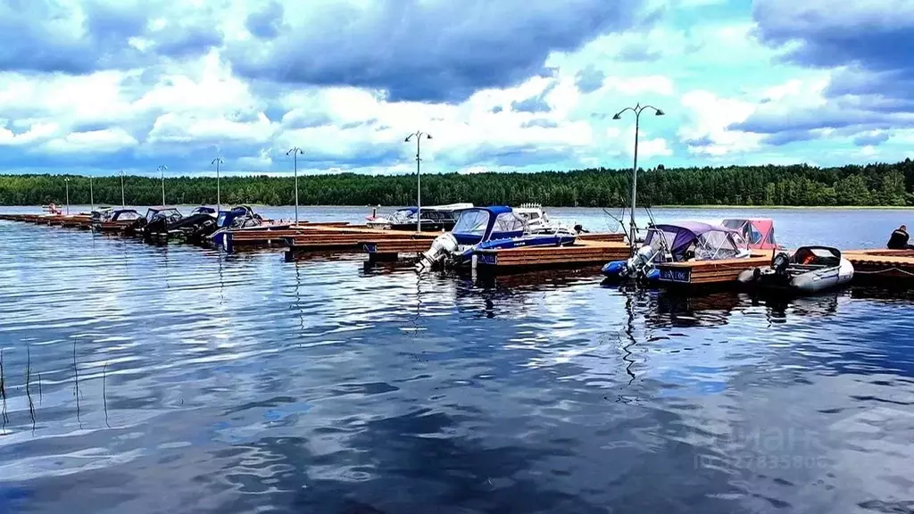 Участок в Ленинградская область, Приозерский район, Запорожское с/пос, ... - Фото 1