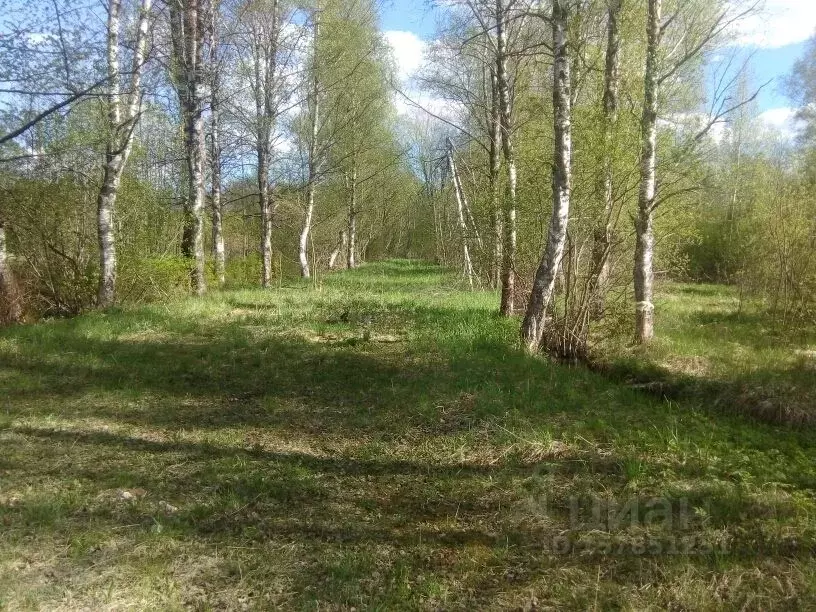 Участок в Новгородская область, Великий Новгород Лужское ш. (2800.0 ... - Фото 2