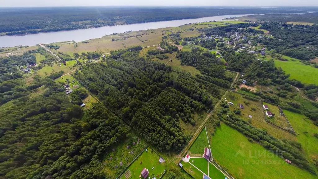 Участок в Ярославская область, Угличский муниципальный округ, д. ... - Фото 2