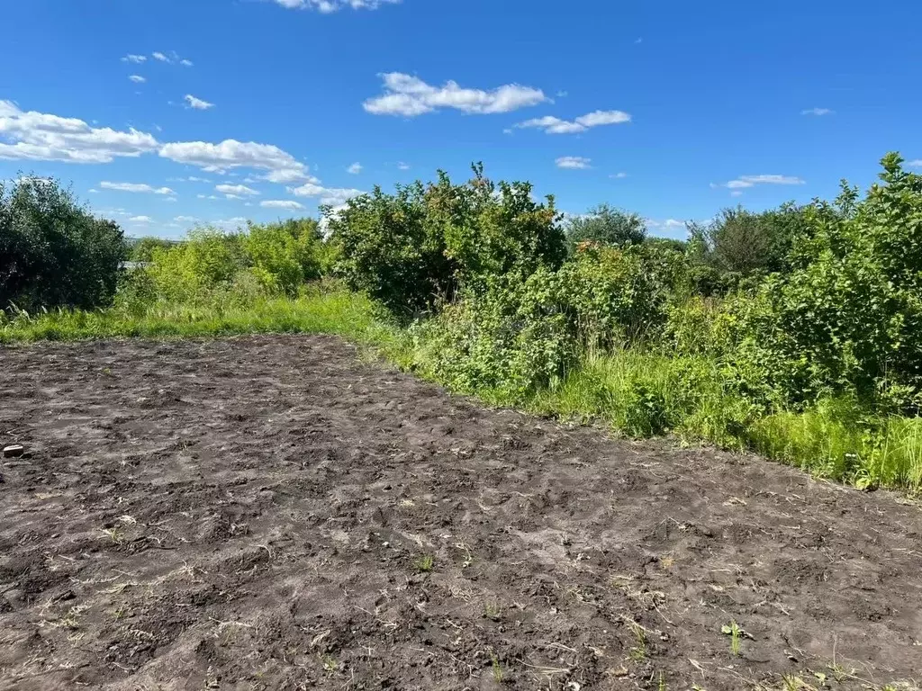 Участок в Мордовия, Саранск городской округ, пос. Озерный, Озерное СНТ ... - Фото 1