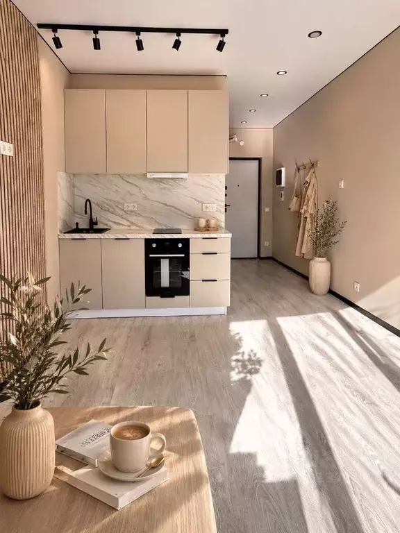 Студия Санкт-Петербург просп. Крузенштерна, 4 (19.7 м) - Фото 1